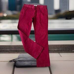 Express Men’s Size 30 X 30 Skinny Fit Hayden Chino Pants. Burgundy Color.